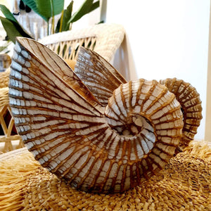 Wood Hand carved Nautilus Shell White Wash - bohemian-beach-house