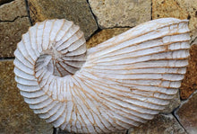 Laden Sie das Bild in den Galerie-Viewer, Wood Hand carved Nautilus Shell Brown - bohemian-beach-house
