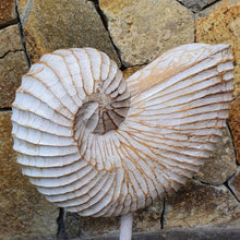 Charger l&#39;image dans la galerie, Wood Hand carved Nautilus Shell Brown - bohemian-beach-house

