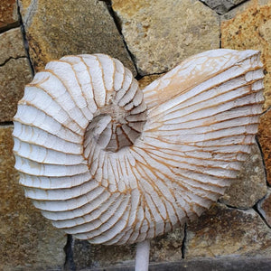 Wood Hand carved Nautilus Shell White Wash - bohemian-beach-house