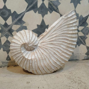 Wood Hand carved Nautilus Shell Brown - bohemian-beach-house